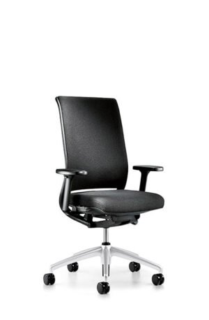 Chaise de bureau haut de gamme Hero 162HM par Interstuhl avec mécanisme Autofit et design élégant disponible chez D-Style Interior